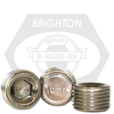 Brighton Best - 3/8"-19 BSP - IMPERIAL 304 PIPE PLUGS DRY-SEAL 3/4" TAPER | 232011